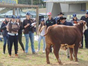 Inscrições abertas para Curso Jurado Jovem durante Expointer 2022