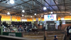 1º Leilão Hereford e Braford – De Alma Serra tem pista movimentada e boas médias