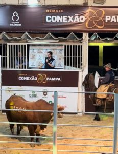 Remate Conexão Pampa tem pista movimentada na primeira edição de inverno