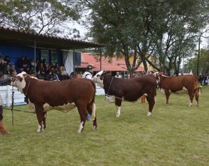 Aberta as inscrições para 80ª Exposição Agropecuária de Alegrete