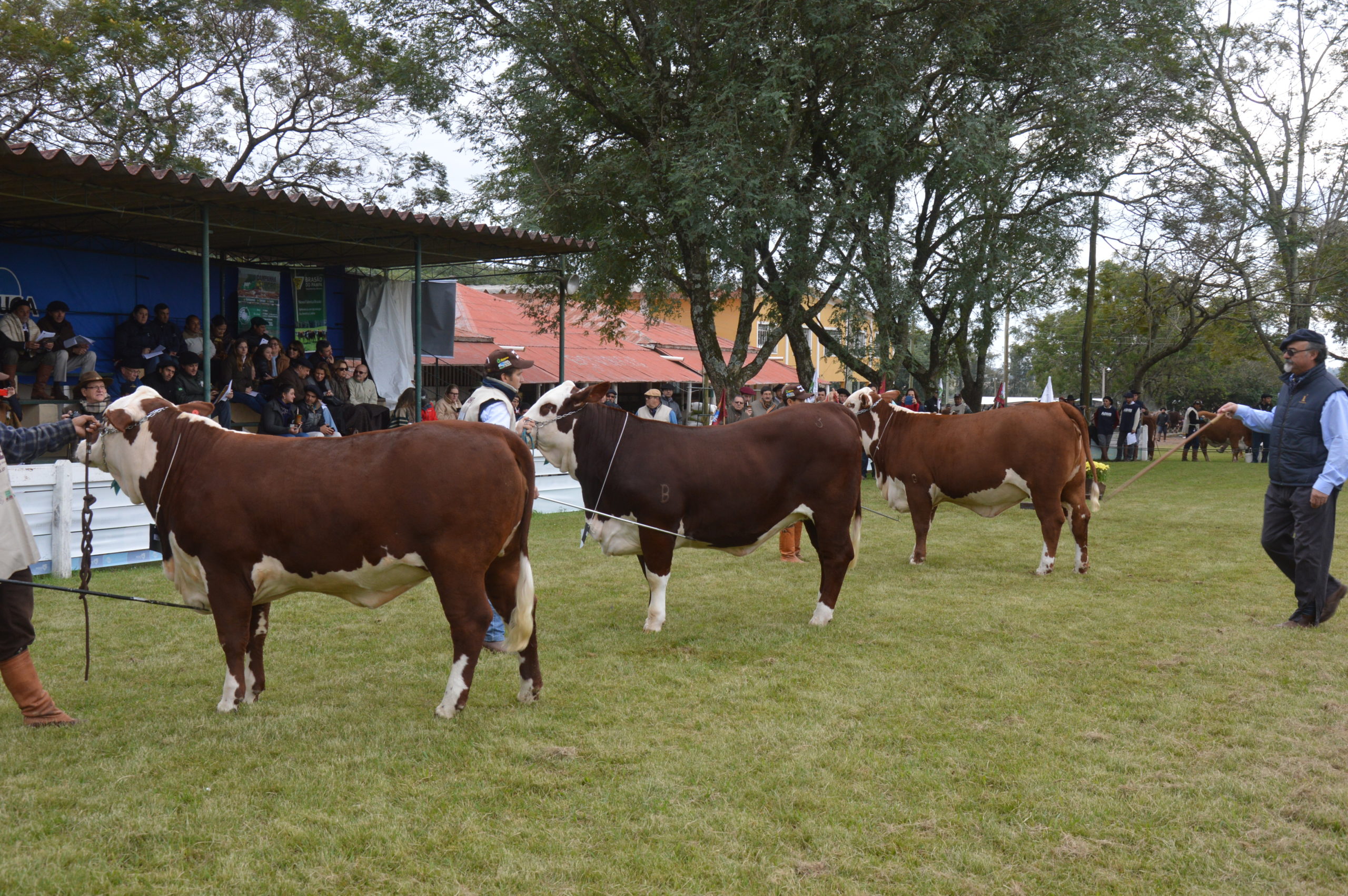 ABHB Aberta As Inscri es Para 80 Exposi o Agropecu ria De Alegrete abhb-aberta-as-inscri-es-para-80-exposi-o-agropecu-ria-de-alegrete