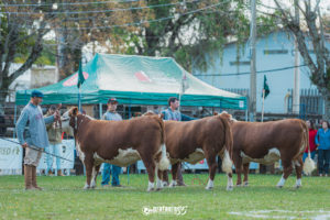 Inscrições para 110º Expofeira de Bagé e 80ª Exposição de Alegrete encerram na próxima sexta-feira (30)