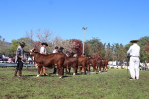 86ª Expofeira de Uruguaiana: inscrições encerram sexta-feira