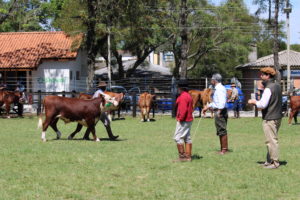 ABHB recebe inscrições para 110º Expofeira de Bagé