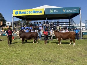 ABHB realiza Curso Jurado Jovem durante a 45ª Expointer