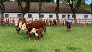 ABHB abre inscrição para 89ª Exposição Agropecuária de Dom Pedrito Farm Show