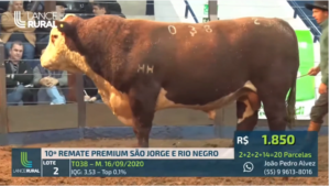 10º Remate premium tem pista limpa em Bagé
