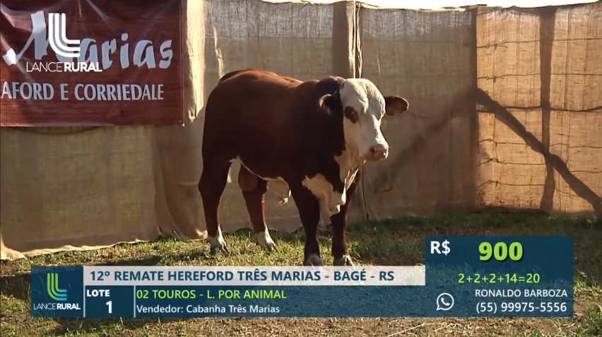 Tudo sobre Lance Rural