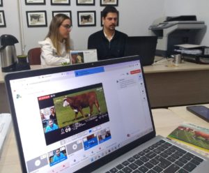 Temporada de leilões alcança mais de 23 mil visualizações no Youtube ABHB