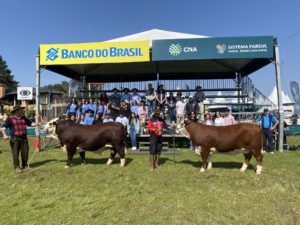 Inscrições abertas para o Curso Jurado Jovem na Exposição Especial de Francisco Beltrão