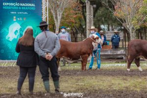 Votação define jurados da Exposição Nacional e Expointer