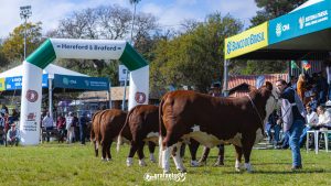 Aberta as inscrições para a Expointer 2023