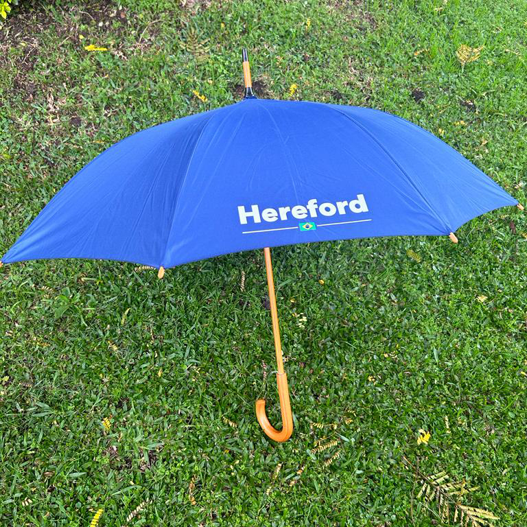 GUARDACHUVA