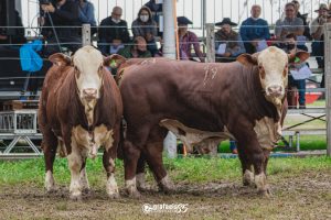 ABHB atenta para prazo de inscrições da 46ª Expointer