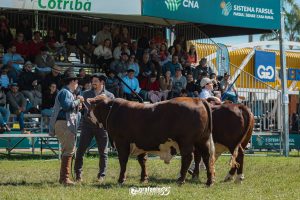 ABHB lança nova modalidade de sócio