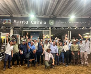Primeiro remate da Santa Camila tem excelente valorização e liquidez
