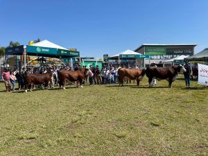 ABHB realiza mais uma edição do Curso Jurado Jovem na Expointer