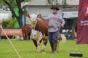 Primeira exposição ranqueada de Dois Vizinhos celebra o melhor das raças Hereford e Braford