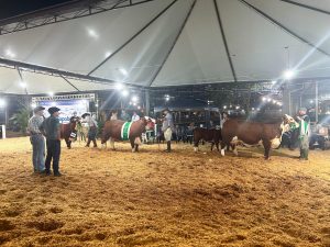 ABHB premia os Grandes Campeões da modalidade argola da Exposição Especial de Francisco Beltrão