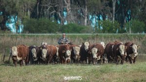 Dia de Campo apresentará vencedores da PAC e PEA