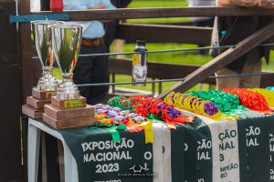 ABHB disponibiliza lista de hotéis para Nacional 2024