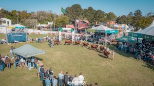 ABHB abre inscrições para a Expointer 2024 na próxima segunda-feira (08)