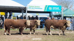 Expointer: Inscrições para animais rústicos encerram na próxima segunda-feira