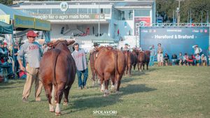 ABHB divulga programação diversificada para 47ª Expointer