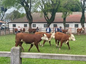 91ª Exposição agropecuária de Dom Pedrito – Farm Show 2024 abre inscrições