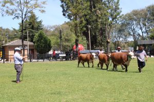 Inscrições abertas para a 112ª Expofeira de Bagé