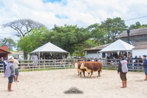 Inscrições abertas para a 98ª Expofeira de Pelotas