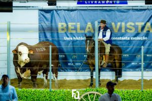 Leilão da Estância Bela Vista conquista o mercado internacional