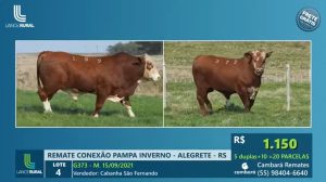 Conexão Pampa atinge ótimas médias com edição de inverno