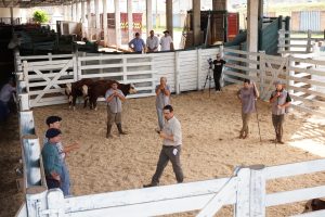 ABHB abre inscrições para Exposição de Francisco Beltrão