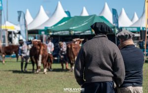 ABHB divulga lista de jurados para votação das Exposições Nacional Hereford e 48ª Expointer