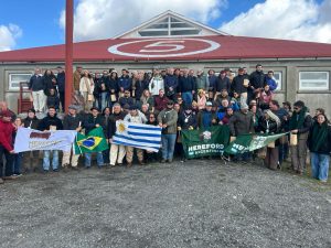 ABHB participa da Gira Hereford Ganadeira Tierra del Fuego e destaca benefícios da raça em climas adversos