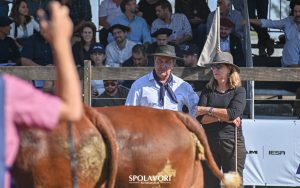 Conheça os campeões rústicos do Mundial Braford