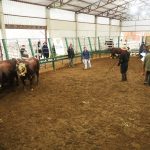 Conheça os campeões da 23ª Exposição Feira de Outono de Uruguaiana