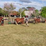 Estão abertas as inscrições para a 23ª Exposição Feira de Outono de Uruguaiana – 16ª Copa Incentivo do Núcleo Fronteira Oeste de Hereford e Braford