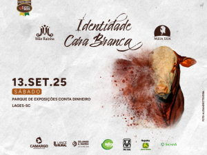 Identidade Cara Branca