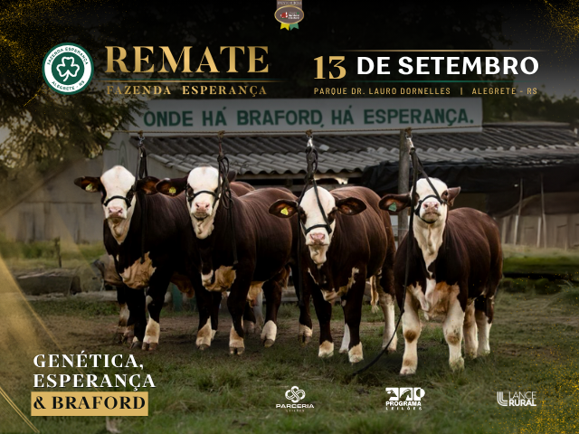 REMATE FAZENDA ESPERANÇA