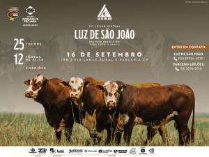 12° LEILÃO BRAFORD LUZ DE SÃO JOÃO