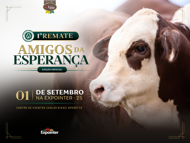 1° REMATE AMIGOS DA ESPERANÇA