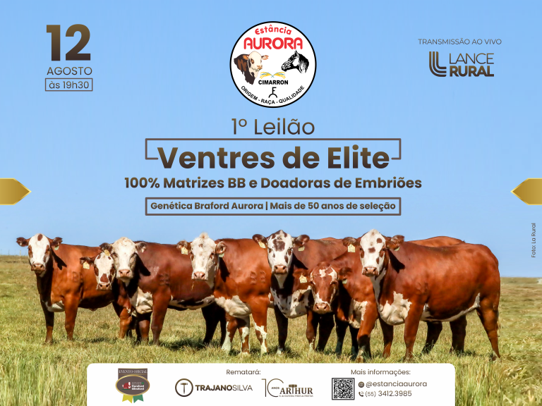 1º Leilão Ventres de Elite