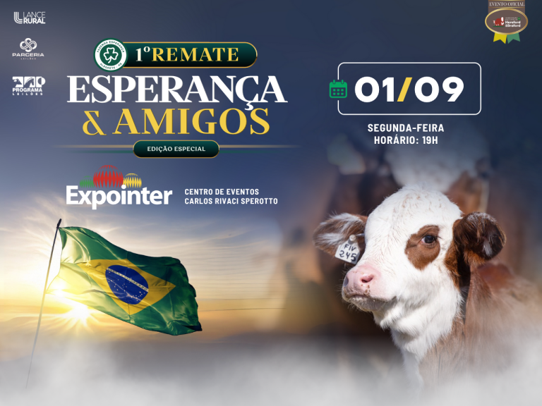 1° REMATE AMIGOS DA ESPERANÇA