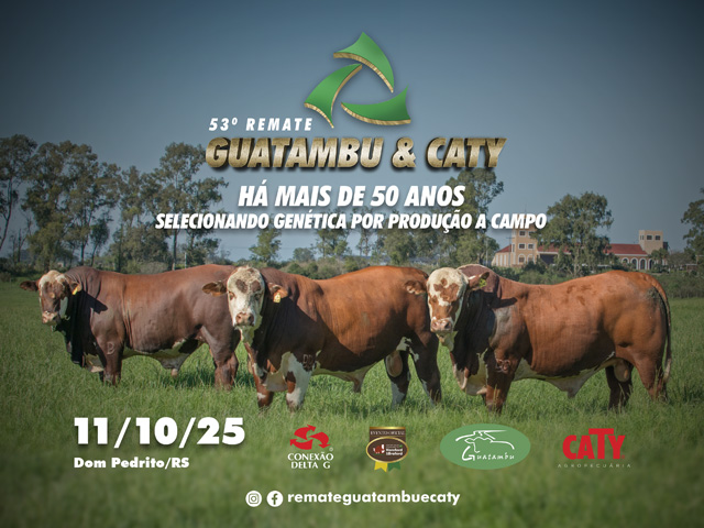 53° REMATE GUATAMBU & CATY