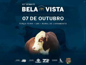 61° REMATE BELA VISTA