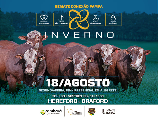 Remate Conexão Pampa Inverno