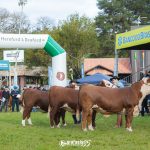 Expointer: Inscrições na modalidade argola, com o valor regular, encerram nesta sexta-feira