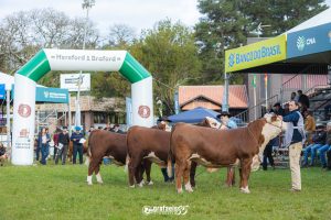 Expointer: Inscrições na modalidade argola, com o valor regular, encerram nesta sexta-feira